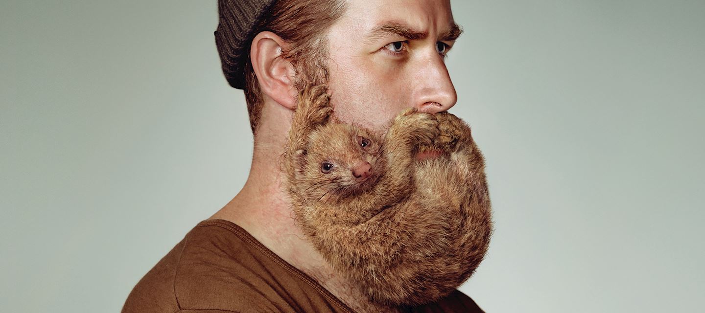 Animal Beards