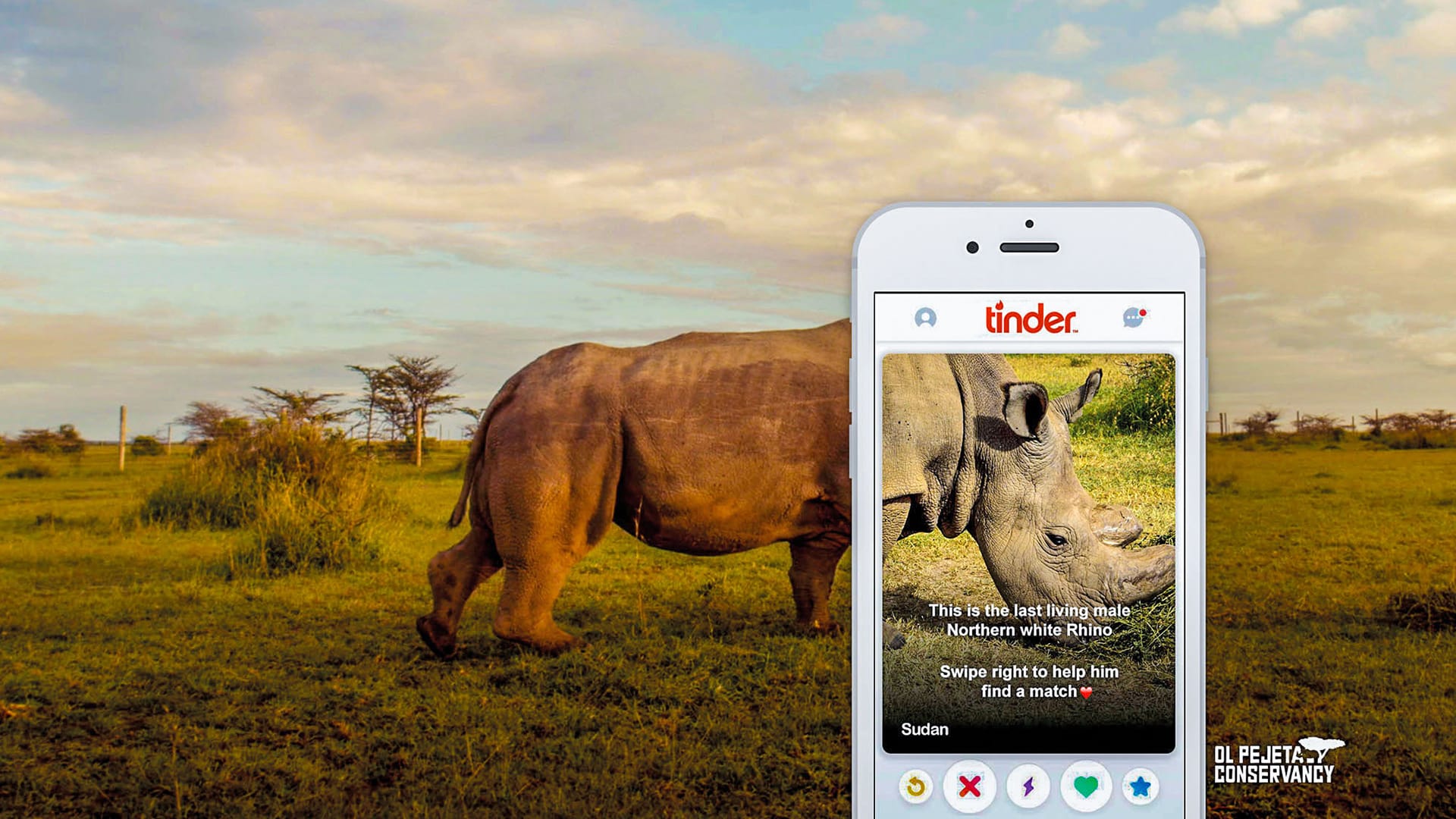 Rhino on a mobile phone