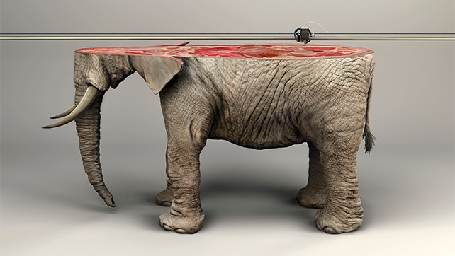 3d printed elephant