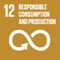12 - responsible consumption and production