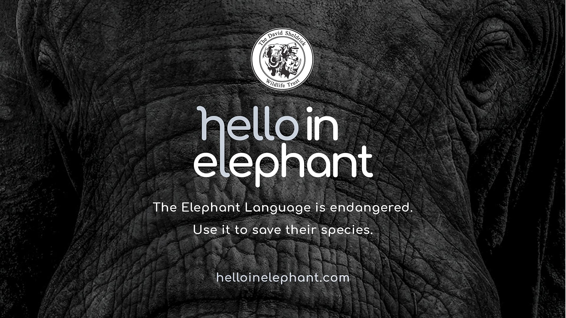 Hello in Elephant poster