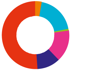 Pie chart showing charitable donations by sector