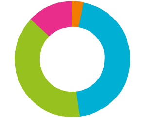 Pie chart showing carbon footprint 2017