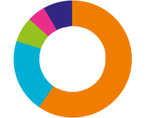 Pie chart showing total renewable energy purchased by country in 2017